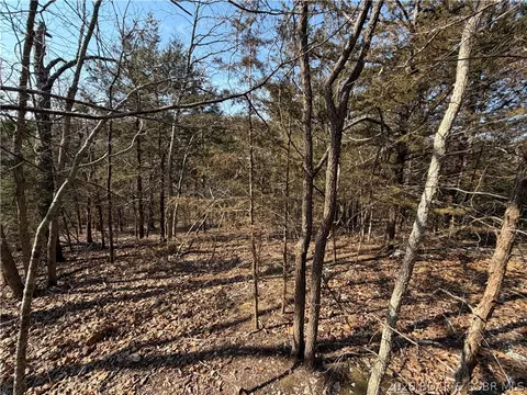 Copperhead Holler, Roach, MO 65787 photo 15