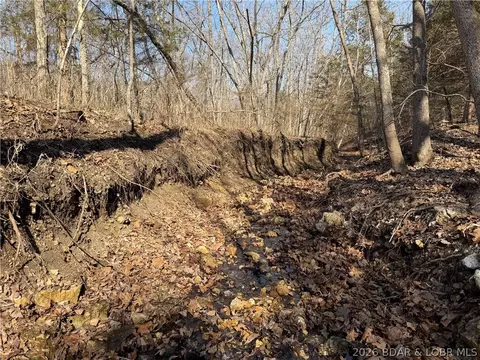 Copperhead Holler, Roach, MO 65787 photo 17
