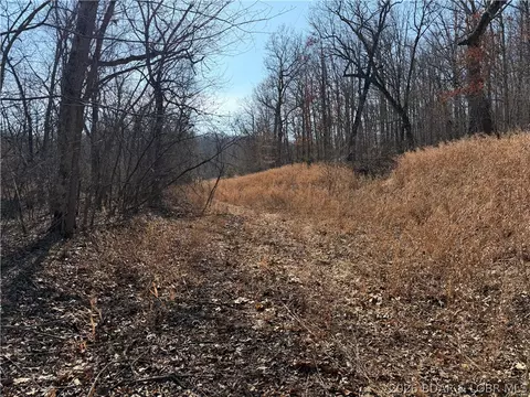 Copperhead Holler, Roach, MO 65787 photo 25