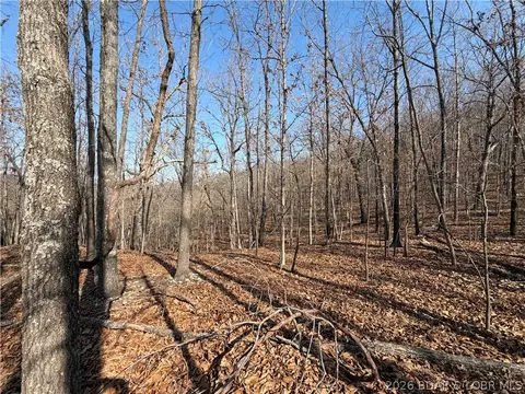 Copperhead Holler, Roach, MO 65787 photo 10