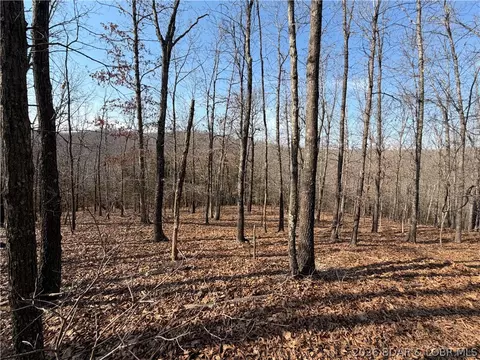 Copperhead Holler, Roach, MO 65787 photo 11