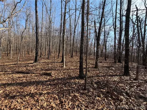 Copperhead Holler, Roach, MO 65787 photo 6