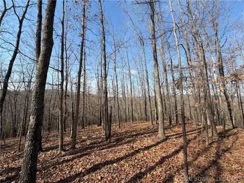 Copperhead Holler, Roach, MO 65787 photo 8