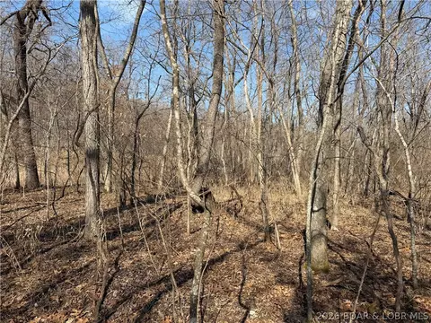 Copperhead Holler, Roach, MO 65787 photo 20