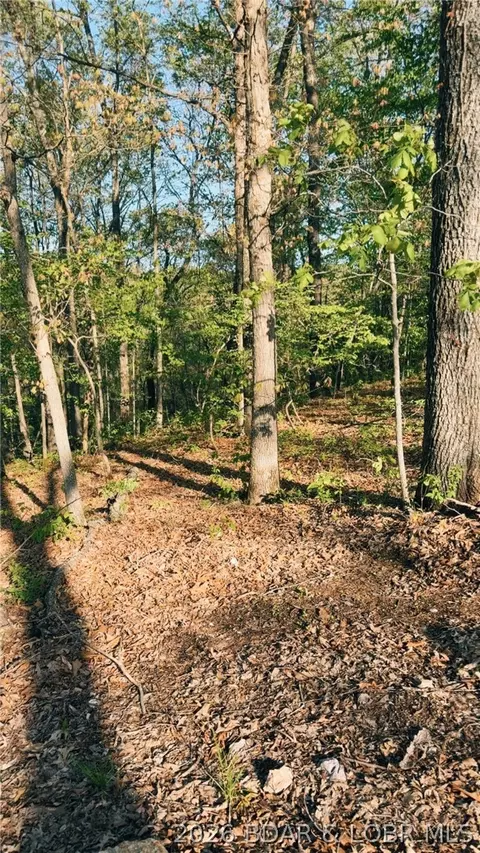 16426 Grace Rd, Barnett, MO 65011 photo 5