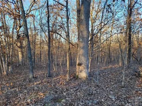 wenzel place, Edwards, MO 65326 photo 18
