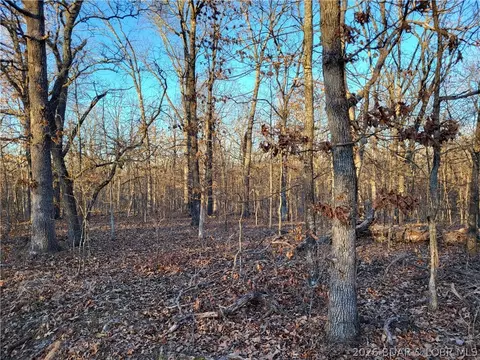 wenzel place, Edwards, MO 65326 photo 21