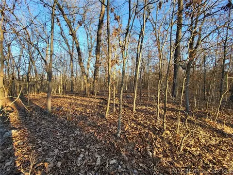 wenzel place, Edwards, MO 65326 photo 26