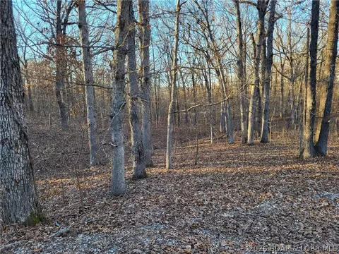 wenzel place, Edwards, MO 65326 photo 10