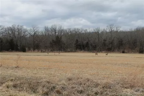 wenzel place, Edwards, MO 65326 photo 27