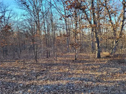 wenzel place, Edwards, MO 65326 photo 4