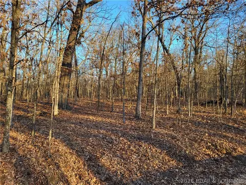 wenzel place, Edwards, MO 65326 photo 19