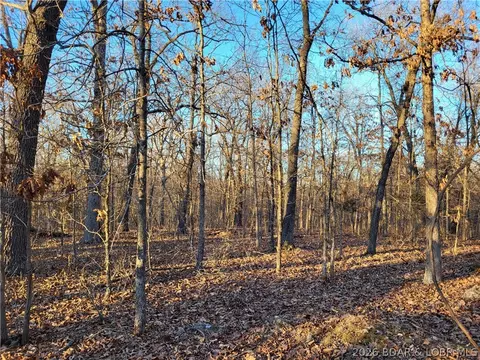 wenzel place, Edwards, MO 65326 photo 16