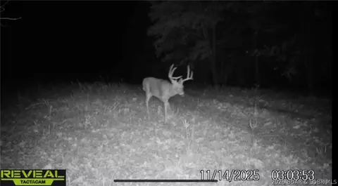 tbd Brainerd Ln, Crocker, MO 65452 photo 40