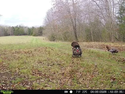 tbd Brainerd Ln, Crocker, MO 65452 photo 38