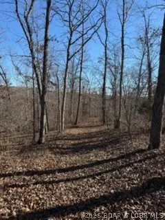 tbd Possum Trot Rd, Stover, MO 65078 photo 10