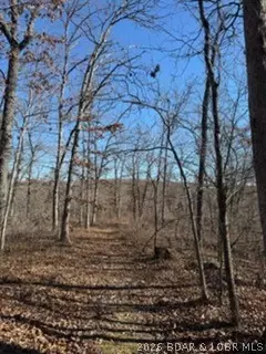 tbd Possum Trot Rd, Stover, MO 65078 photo 7