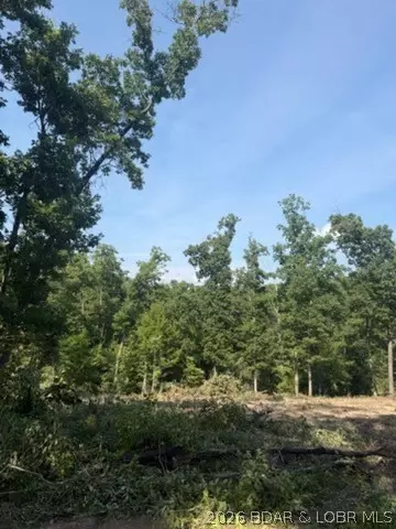 tbd Possum Trot Rd, Stover, MO 65078 photo 4