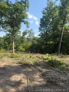 tbd Possum Trot Rd, Stover, MO 65078 photo 5