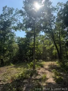 tbd Possum Trot Rd, Stover, MO 65078 photo 6