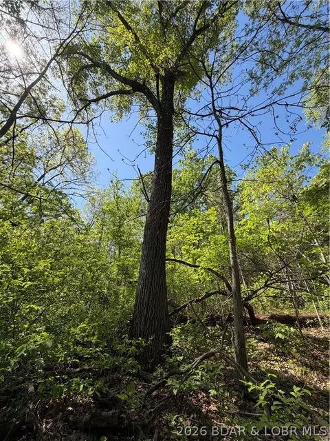 10 Acres Ivy Bend Rd, Stover, MO 65078 photo 11