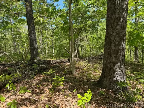 10 Acres Ivy Bend Rd, Stover, MO 65078 photo 9