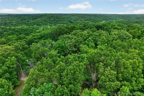 View/Area - tbd Twisted Tree Rd, Barnett, MO 65011 photo 3 of 3