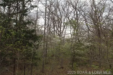 15516 Highway P, Gravois Mills, MO 65037