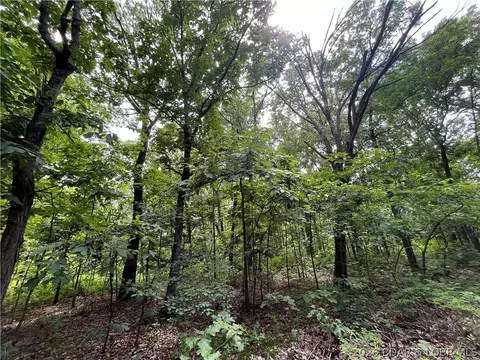 tbd Lake Forest Estates Rd, Stover, MO 65078 photo 3