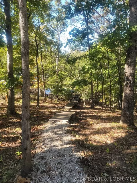 Other - 99 Rustic Woods Rd, Sunrise Beach, MO 65079 photo 20 of 21