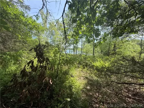 31560 Bob Dr, Edwards, MO 65326 photo 12