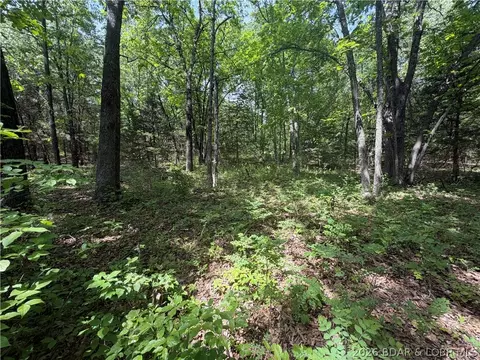 31560 Bob Dr, Edwards, MO 65326 photo 16