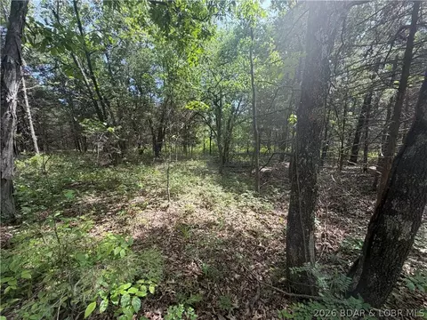 31560 Bob Dr, Edwards, MO 65326 photo 15