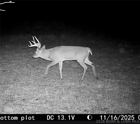 Other - 0000 Pearl Rd, Other, MO 64646 photo 8 of 26