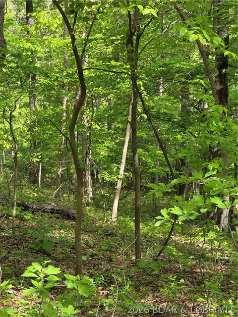 Broken Circle Road, Stover, MO 65078