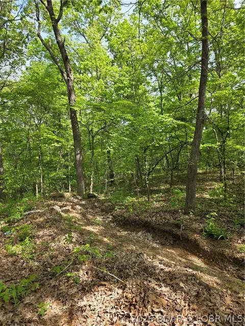 Broken Circle Road, Stover, MO 65078 photo 3
