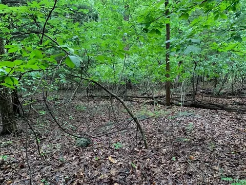 lot736 Linn Creek Rd, Lake Ozark, MO 65049