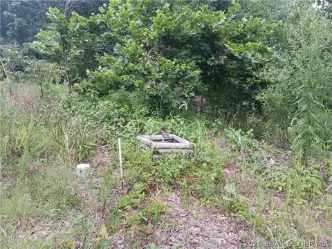 31601 Buck Run Rdg, Stover, MO 65078 photo 7