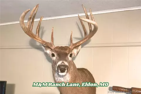 90 Acres M And M Ranch Ln, Eldon, MO 65026 photo 7