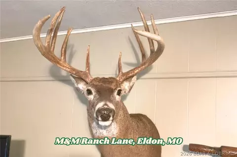 90 Acres M And M Ranch Ln, Eldon, MO 65026 photo 8