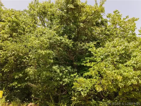 lot56 Hillview Rd, Stover, MO 65078 photo 5