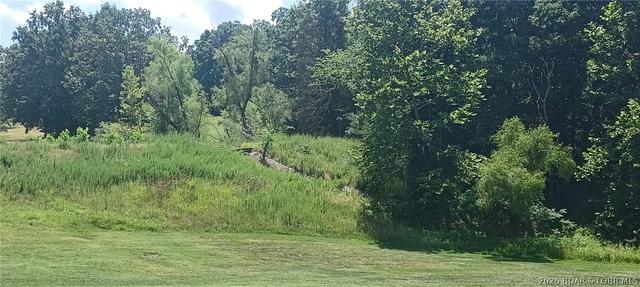 lot193 Player Dr, Gravois Mills, MO 65037
