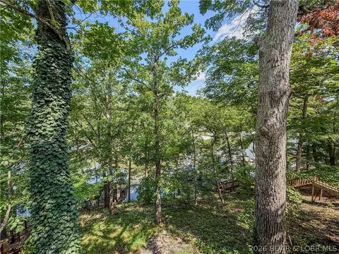 View/Area - 4523 Jerry Lees Way, Stover, MO 65078 photo 7 of 10