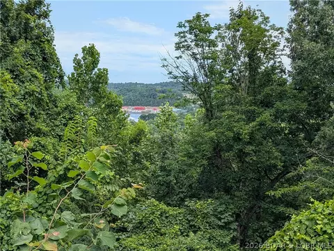 223 Fork Heights Dr, Camdenton, MO 65020 photo 30