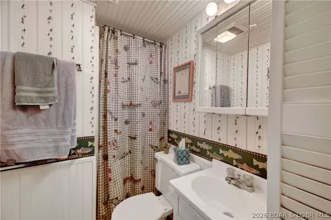 Bath - 1688 Boot Dr, Camdenton, MO 65020 photo 3 of 6