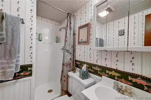 Bath - 1688 Boot Dr, Camdenton, MO 65020 photo 4 of 6