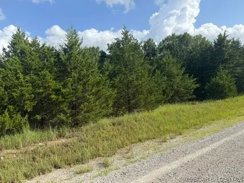Saito Place, Edwards, MO 65326 photo 5