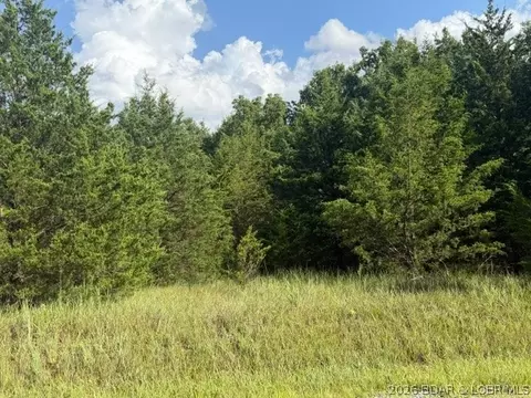 Saito Place, Edwards, MO 65326 photo 6