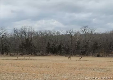 bowden place, Edwards, MO 65326 photo 9