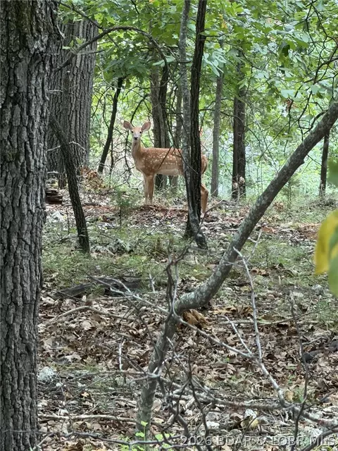 Navajo Road, Lake Ozark, MO 65049